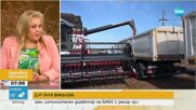 БАБХ: Няма засечени тежки метали в пшеницата от Украйна