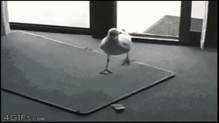 Ще се спукате от Смях с Това Видео