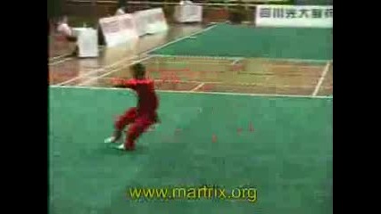 Bagua Zhang