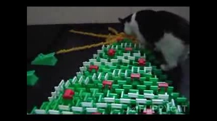 Котка събаря Коледно дърво от домино