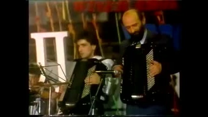 Zlata Petrovic - Poludelo srce moje
