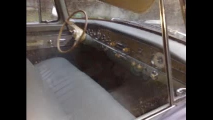 една от малкото Чайки в софия