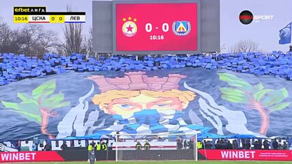Хореографията на феновете на Левски