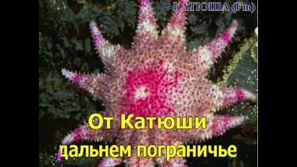 Разцветали!!!