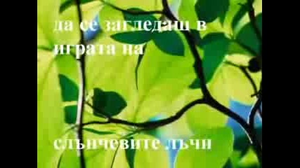 - Света Е Любов - .