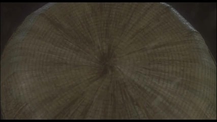 Lisa Gerrard - Ichi (2008) 