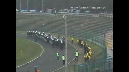 Polish Hooligans
