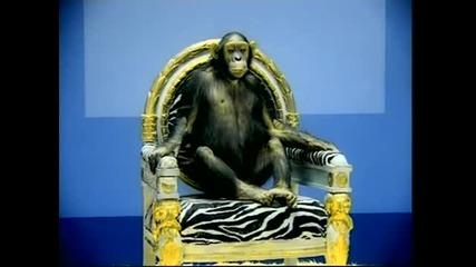 (1998) Фалко - Naked
