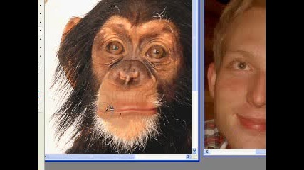 Как Се Прави Маймуна В Човек На Photoshop