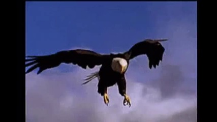 Vangelis - Conquest of paradise