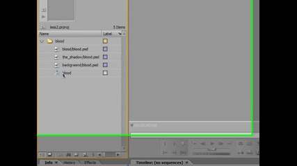 Adobe Premiere за начинаещи - Урок 5 - Premiere и Photoshop