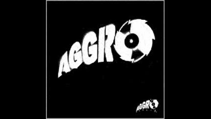 Sido,  Kitty Kat,  Fler,  B - Tight & Tony D. - Aggrostarz 2007