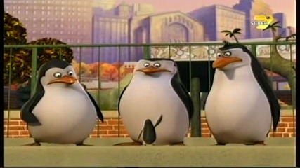 Пингвините От Мадагаскар Сезон 2 Епизод 32 Бг Аудио