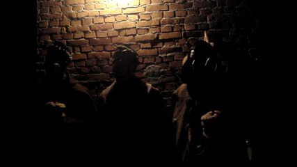 На прасе Коледари 2010 г.