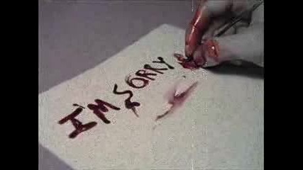 nesreco moja.wmv 