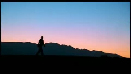 Sting - Desert Rose 
