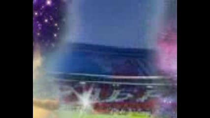 Crvena Zvezda - Delije Sever