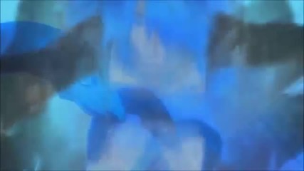 amv-we're born to fight