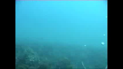 Подводен Риболов