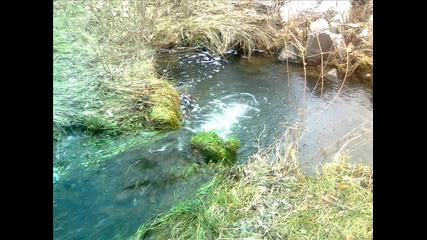 snimki ot Bukovo