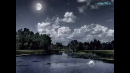 Ernesto Cortazar - Fly me to the moon