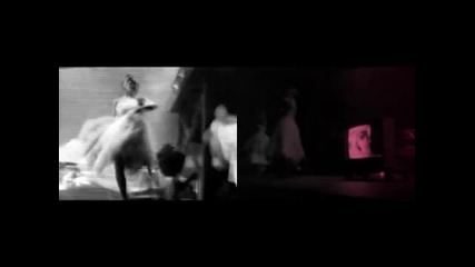 Vein Cat - when she moves 