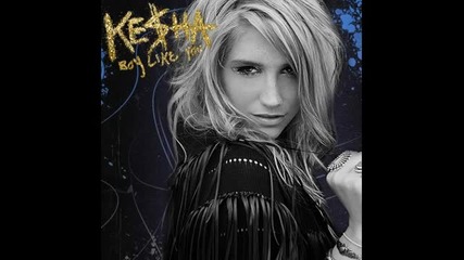 Ke$ha - Boy Like You 