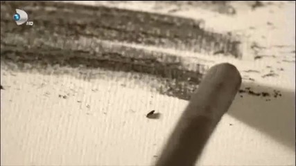 12 ep.