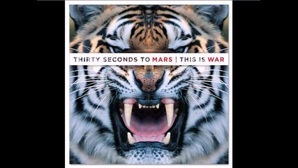 30 Seconds To Mars - Night Of The Hunter 