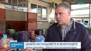 "Златни" домати и скъпи череши: Има ли спекула с цените на плодовете и зеленчуците