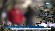 Колко дървета ще спасим, ако минем на електронни фактури?