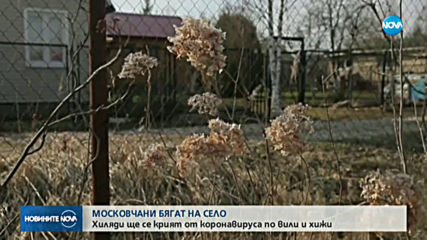 Московчани се самоизолират във вили в провинцията заради COVID-19