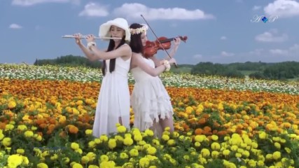 Spring of Life