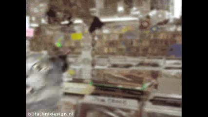 Ludi Kotki