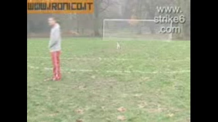 Зло куче.3gp