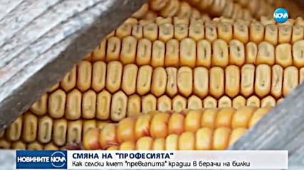 Новините на NOVA (16.09.2017 - обедна емисия)