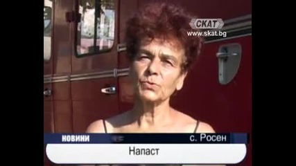 Нашествие на гъсеници