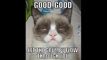 Grumpy March (гръмпи кет марш)