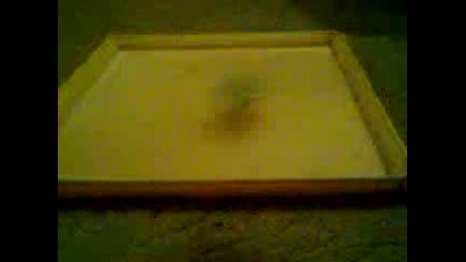 Beyblade Metal Fusion libra d wolw d bul