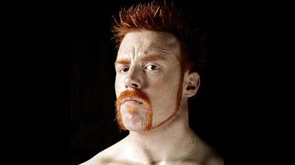 Sheamus Written In My Face