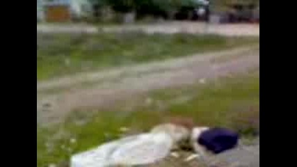 Не гледайте иначе ще съжелявате !!!!!!!!!! 