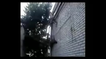 Луди руски фрийръни