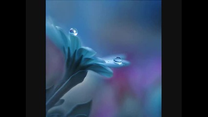 Lamb - Heaven