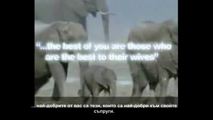 ilahi 