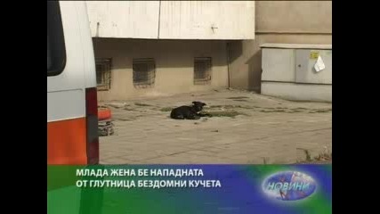 Млада жена нападната от безстопанствени кучета в Златен рог