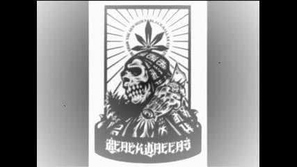 Bass Punisher - Black Friday 