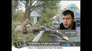 Абсурд! Дърво премазва кола, а потърпевшият е осъден да плати - Здравей, България (08.07.2014г.)