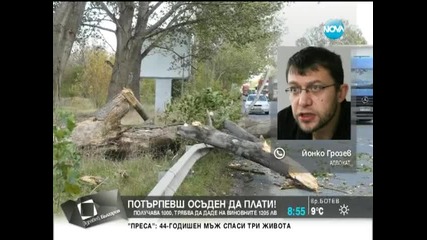 Абсурд! Дърво премазва кола, а потърпевшият е осъден да плати - Здравей, България (08.07.2014г.)