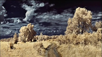 Vadim Kiselev - L'attente de la nuit
