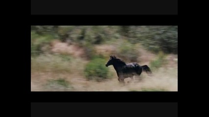 Lisa Gerrard - Now We Are Free